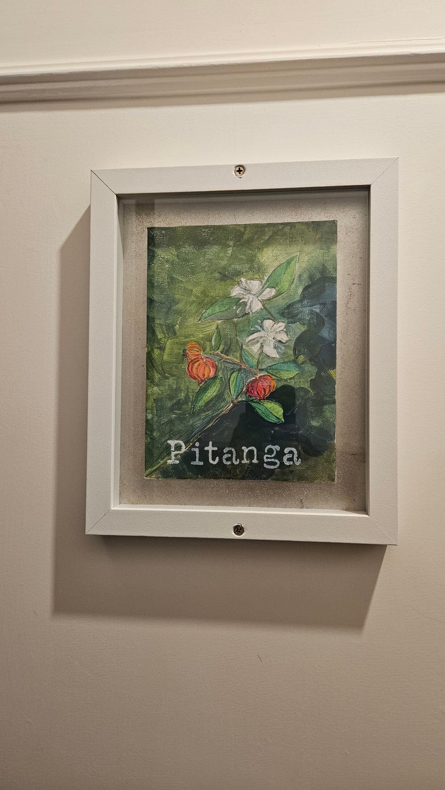 Apartamento Pitanga